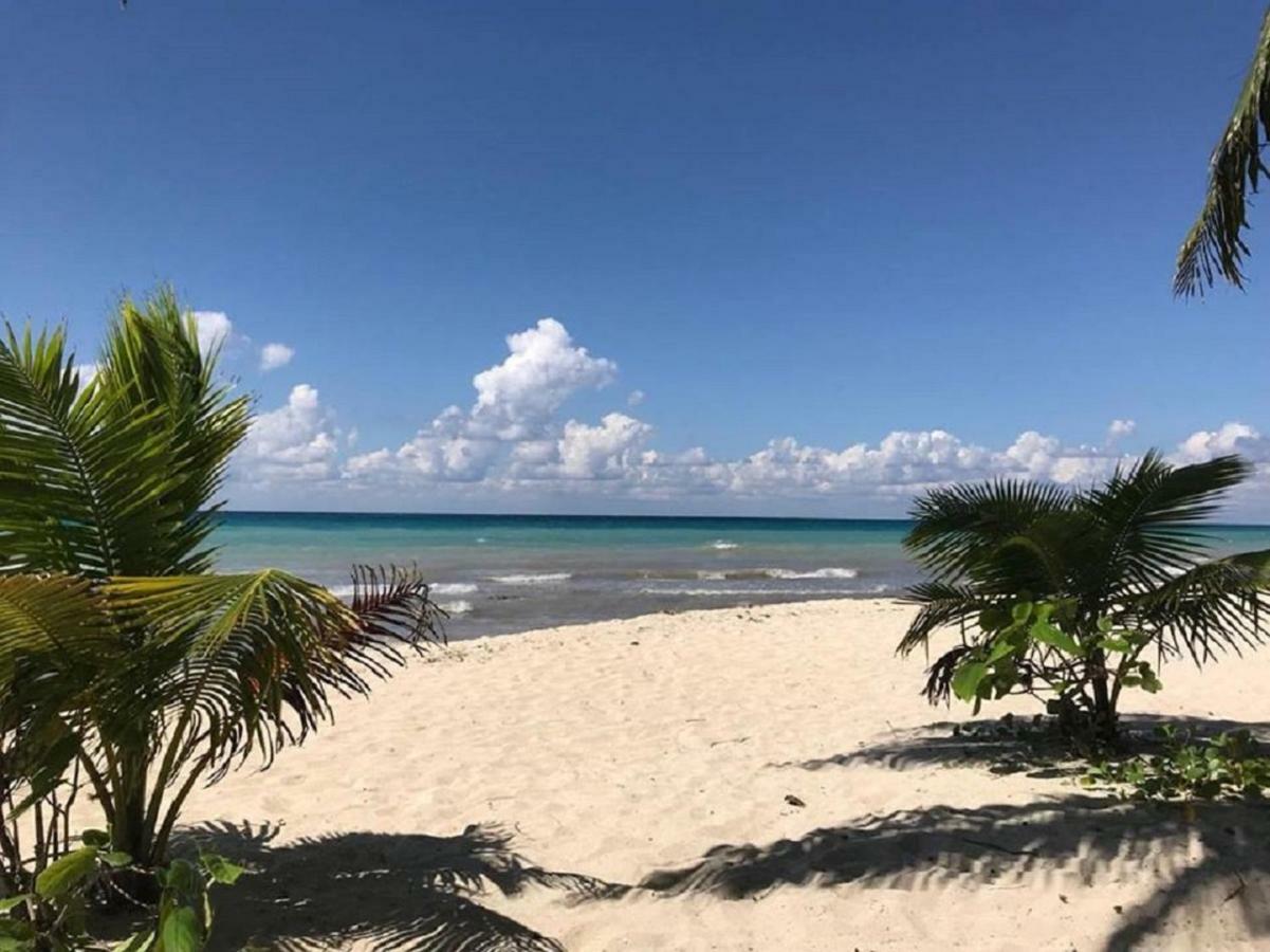 Alegria Cozumel